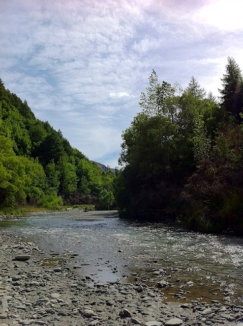 Bruinen