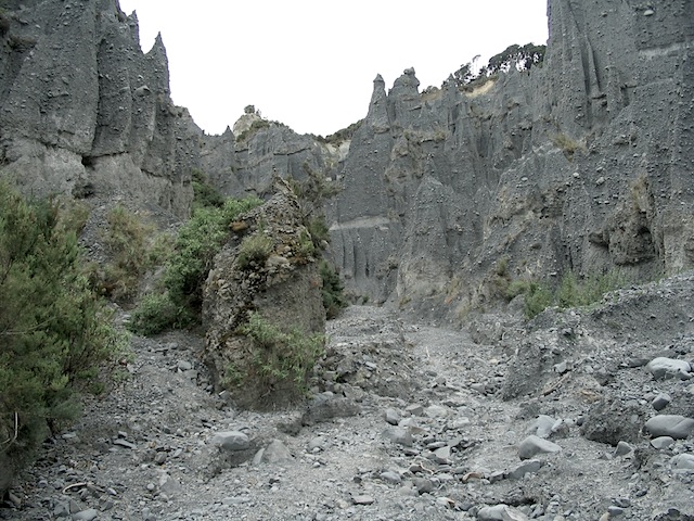 Dimholt Road