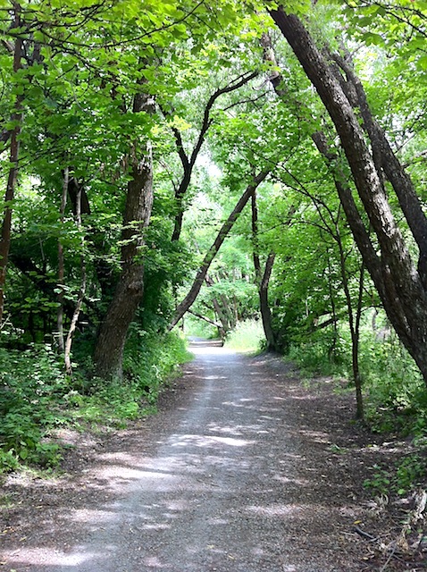 Gladden Fields Path