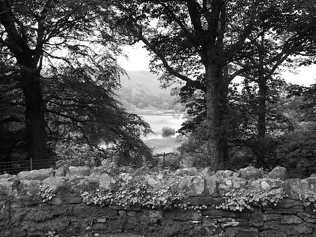 Rydal Mountin puutarha