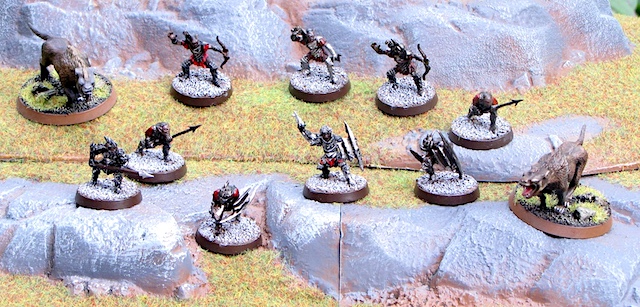 Photo of Misty Mountains battle company